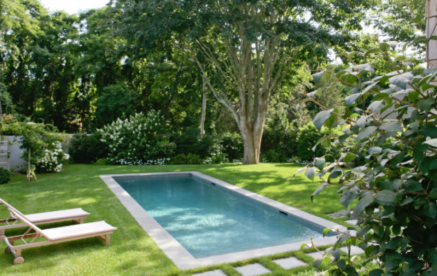 Kích thước bể bơi 4