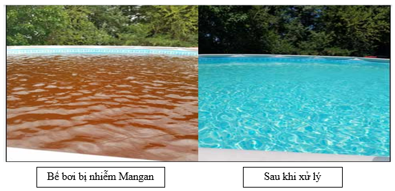 Nước cấp cho bể bơi 2