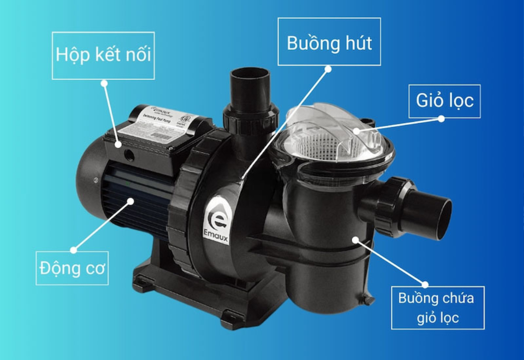 Tổng hợp các loại thiết bị bể bơi thi đấu phổ biến hiện nay